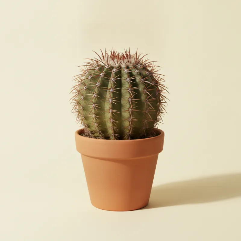 Ferocactus emoryi (illustratie)