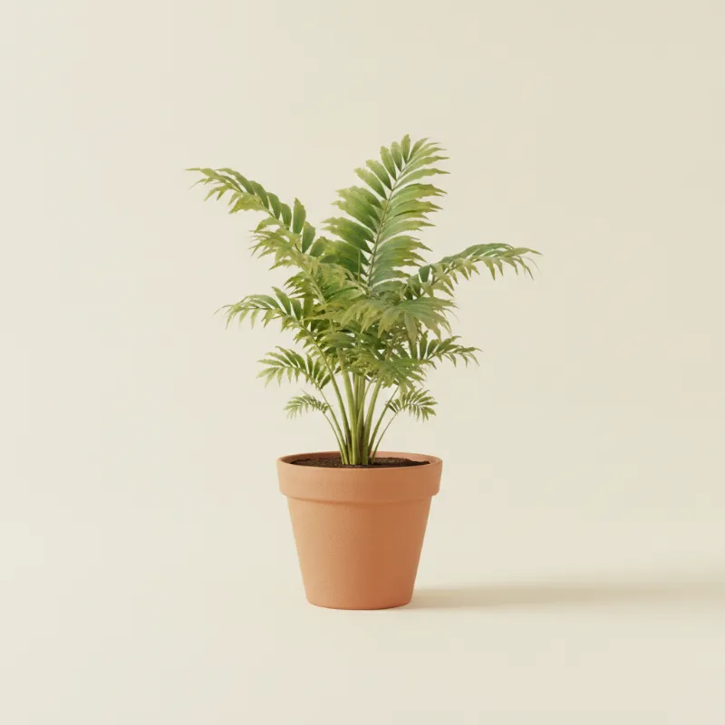 Vissenstaartpalm — Caryota mitis (illustratie)