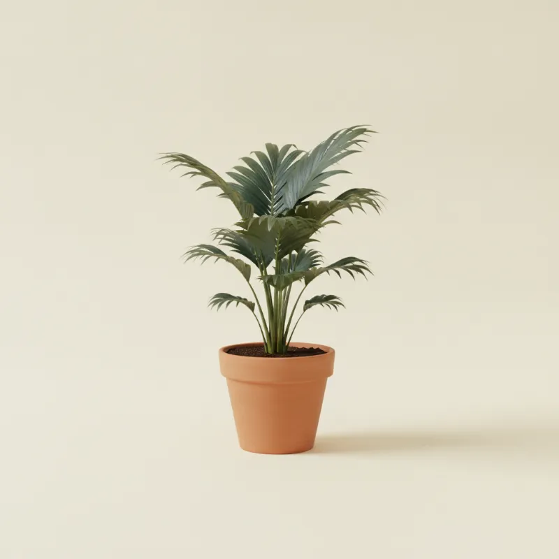 Bergpalm — Chamaedorea metallica (illustratie)