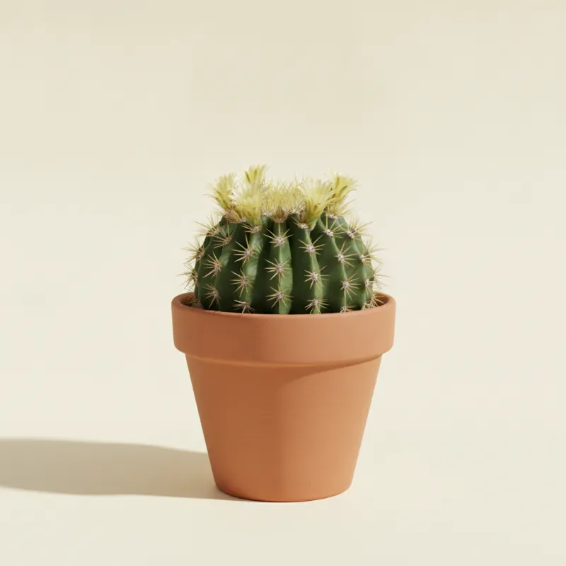 Mammillaria longimamma (illustratie)