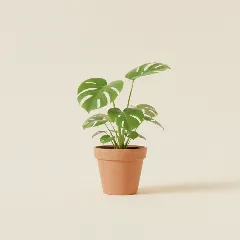 Gatenplant