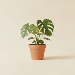 Gatenplant