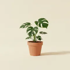 Gatenplant