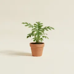 Gatenplant